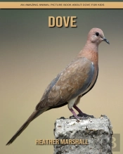Dove