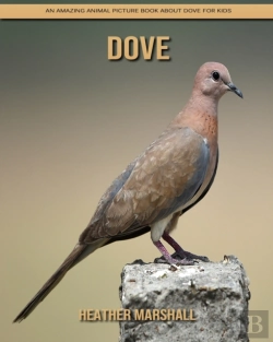 Bertrand.pt - Dove