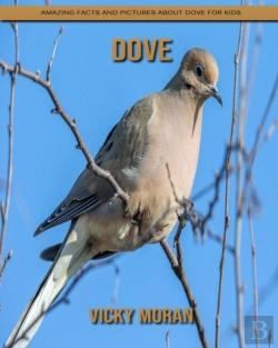 Bertrand.pt - Dove
