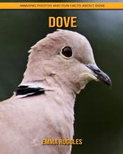 Dove