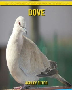 Bertrand.pt - Dove