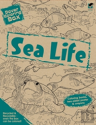 Dover Coloring Box -- Sea Life