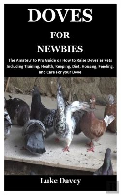 Bertrand.pt - Doves For Newbies