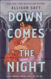Down Comes The Night