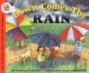 Down Comes The Rain