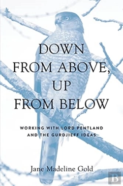 Bertrand.pt - Down From Above, Up From Below: Working
