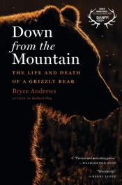Down From The Mountain