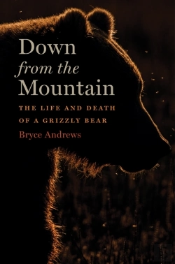 Bertrand.pt - Down From The Mountain