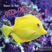 Down In The Deep Deep Ocean