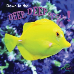 Bertrand.pt - Down In The Deep, Deep, Ocean!
