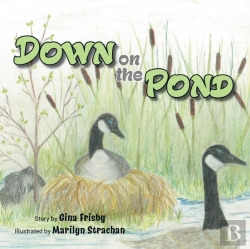 Bertrand.pt - Down On The Pond