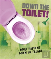 Down The Toilet