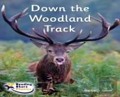 Down The Woodland Track