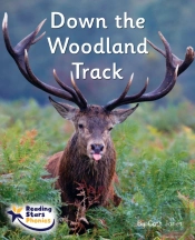 Down The Woodland Track