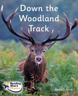 Bertrand.pt - Down The Woodland Track