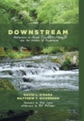 Downstream