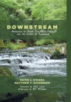 Bertrand.pt - Downstream
