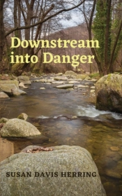 Downstream Into Danger
