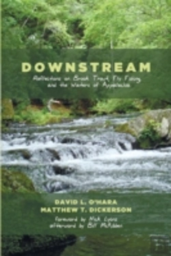 Bertrand.pt - Downstream