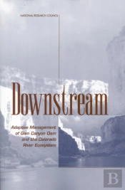 Downstream