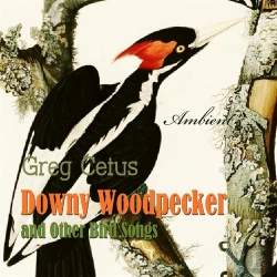 Bertrand.pt - Downy Woodpecker And Other Bird Songs