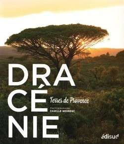 Bertrand.pt - Dracenie