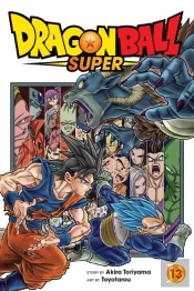 Dragon Ball Super, Vol. 13
