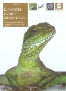 Bertrand.pt - Dragon Barbu Et Dragon D'Eau