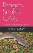 Dragon Snakes Care