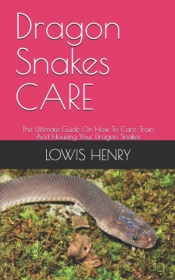 Dragon Snakes Care