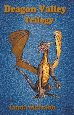 Bertrand.pt - Dragon Valley Trilogy