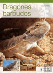 Dragones Barbudos