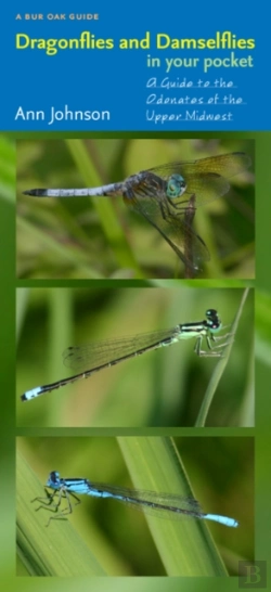 Bertrand.pt - Dragonflies And Damselflies In Your Pocket