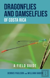 Dragonflies And Damselflies Of Costa Rica