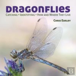 Bertrand.pt - Dragonflies
