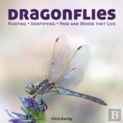 Bertrand.pt - Dragonflies