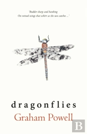 Dragonflies