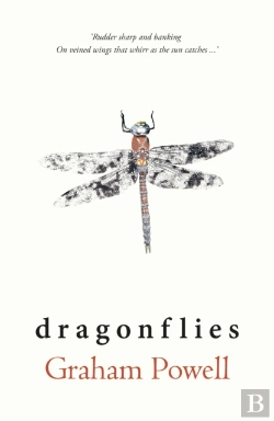 Bertrand.pt - Dragonflies