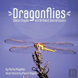 Bertrand.pt - Dragonflies