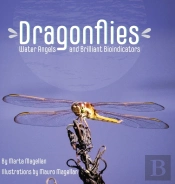 Dragonflies