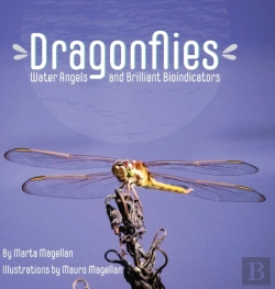 Bertrand.pt - Dragonflies
