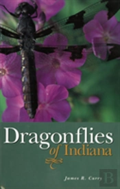 Dragonflies Of Indiana