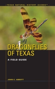 Dragonflies Of Texas