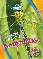 Dragonflies