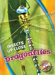 Dragonflies