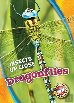 Bertrand.pt - Dragonflies