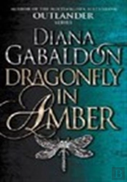 Bertrand.pt - Dragonfly In Amber