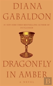 Dragonfly In Amber