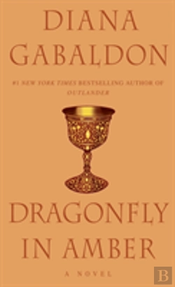Bertrand.pt - Dragonfly In Amber