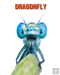 Bertrand.pt - Dragonfly